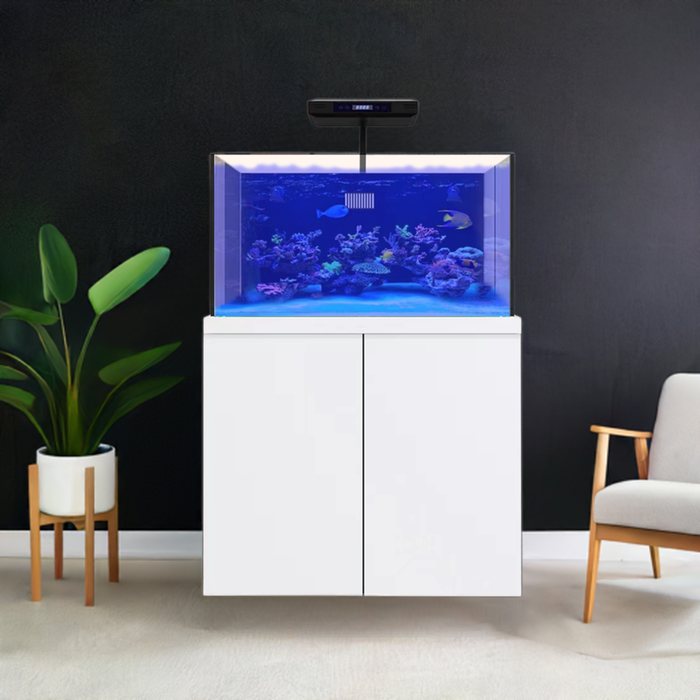 Aqua Dream 100 Gallon Aquarium Coral Reef Fish Tank Complete Set including one Coral light & one Protein Skimmer