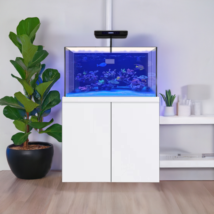 Aqua Dream 100 Gallon Aquarium Coral Reef Fish Tank Complete Set including one Coral light & one Protein Skimmer