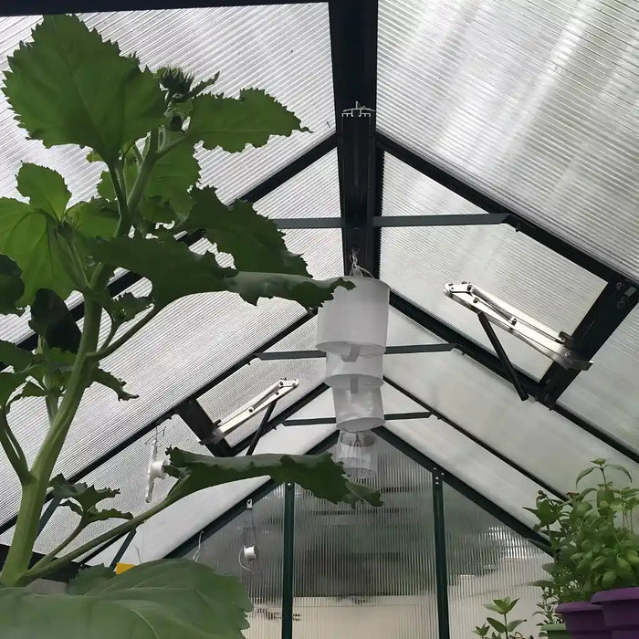 Grandio Element 6x12 Greenhouse Kit 10mm Polycarbonate Aluminum Frame