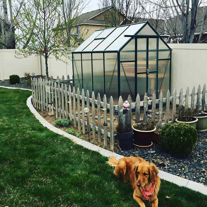 Grandio Element 6x8 Greenhouse Kit 10mm Polycarbonate Aluminum Frame