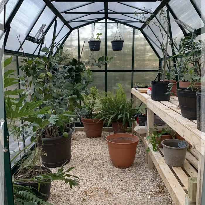 Grandio Elite 8x12 Greenhouse Kit 10mm Polycarbonate Barn Style Aluminum Frame