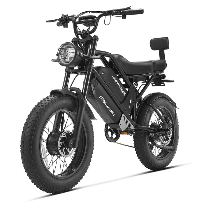 HappyRun G70 Pro Dual-Motor Electric Cargo Bike Dual Battery
