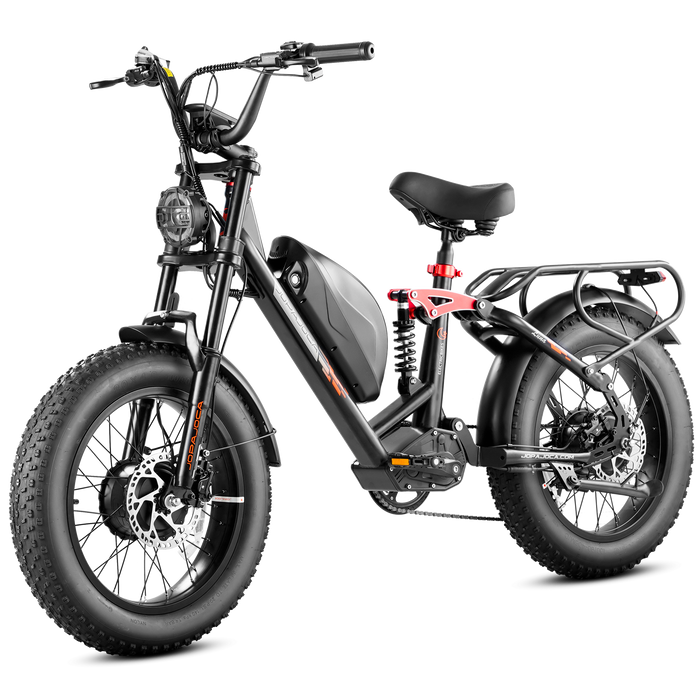 Eahora Luna II Dual Motor Ebike 1000W 48V 33 MPH