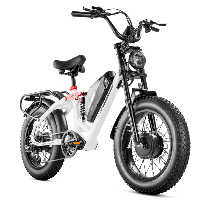 Eahora Luna II Dual Motor Ebike 1000W 48V 33 MPH