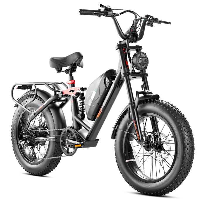 Eahora Luna Fat Tire Ebike 1000W 48V Battery 33 MPH