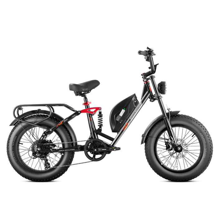 Eahora Luna Fat Tire Ebike 1000W 48V Battery 33 MPH
