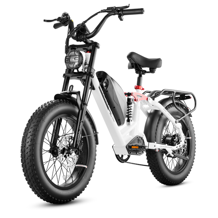 Eahora Luna Fat Tire Ebike 1000W 48V Battery 33 MPH