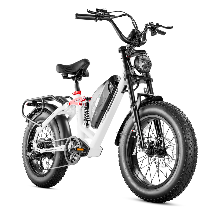 Eahora Luna Fat Tire Ebike 1000W 48V Battery 33 MPH