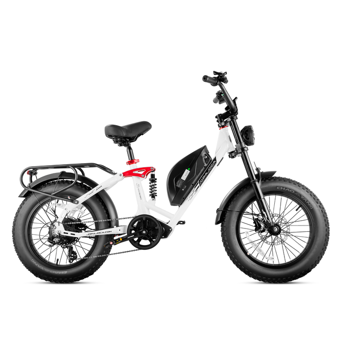 Eahora Luna Fat Tire Ebike 1000W 48V Battery 33 MPH