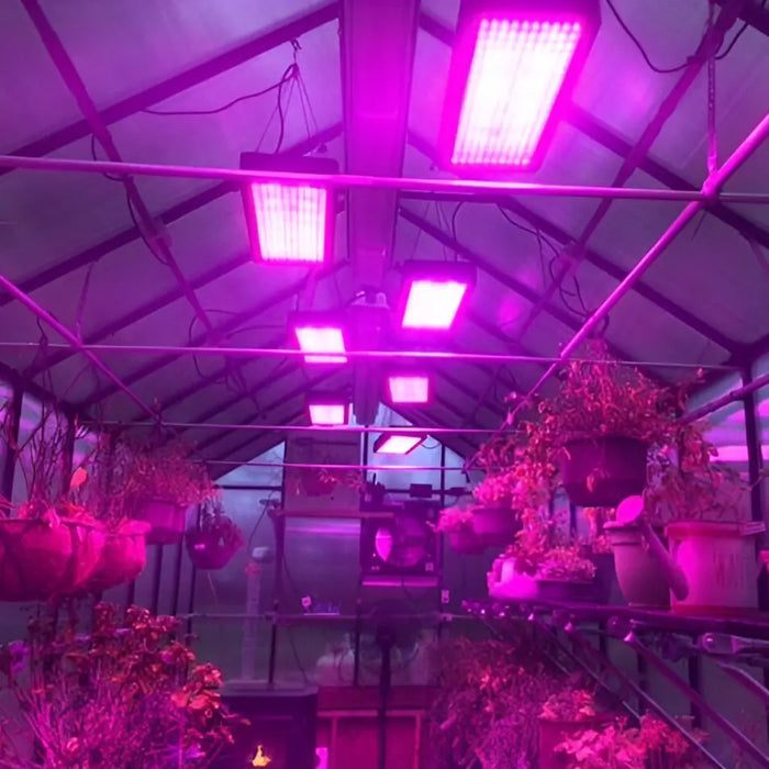 Riverstone Industries Monticello Greenhouse Growers Edition