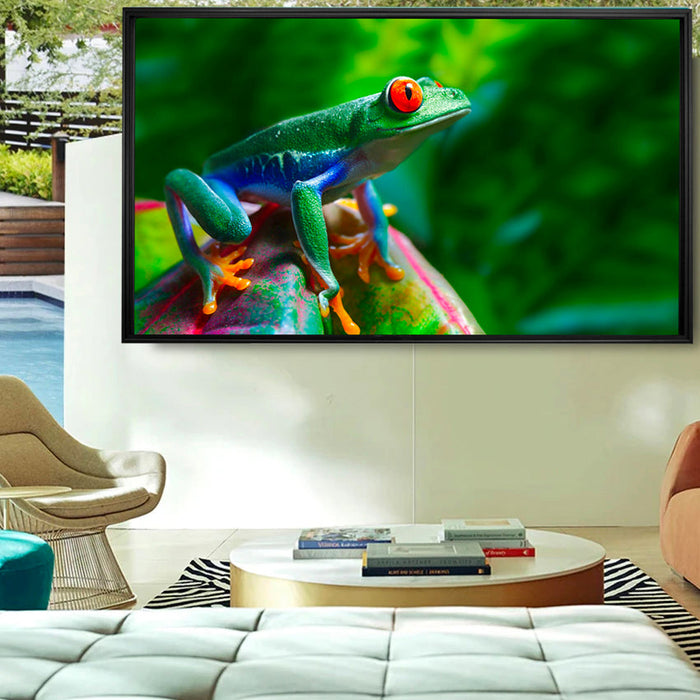 MirageVision Direct Sun Outdoor TV Neo QLED, 2500 Nits
