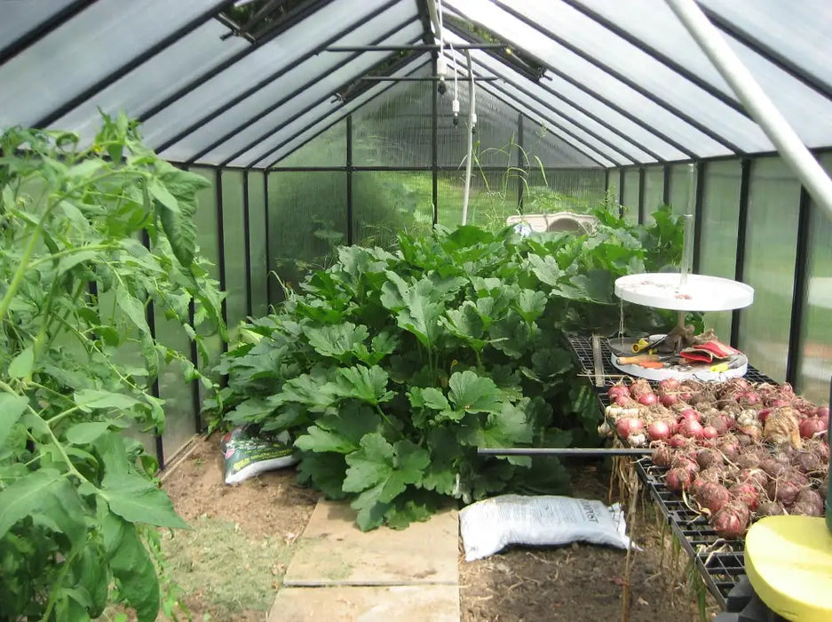 Riverstone Industries Monticello Black Greenhouse