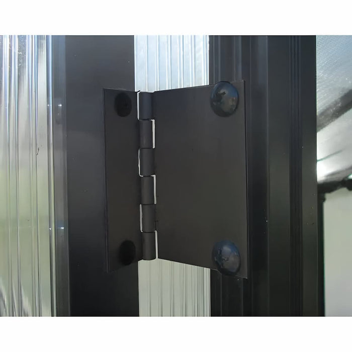 Riverstone Industries Monticello Black Greenhouse