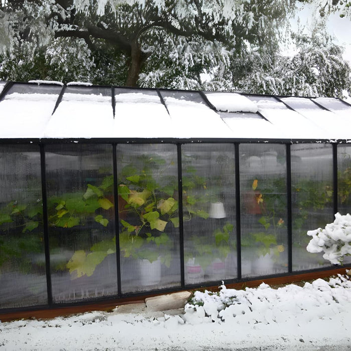 Riverstone Industries Monticello Moheat Edition Black Finish Greenhouse with Heater