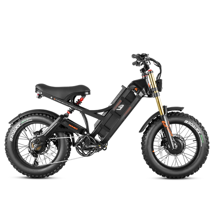 Eahora Romeo II Ebike Dual Motors 52V 60Ah 40 MPH